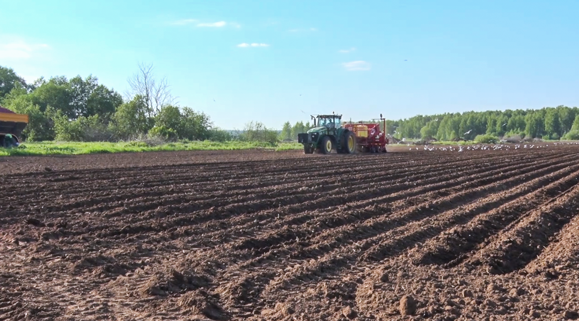 Клин, общество, экономика, сельское хозяйство, картофель,