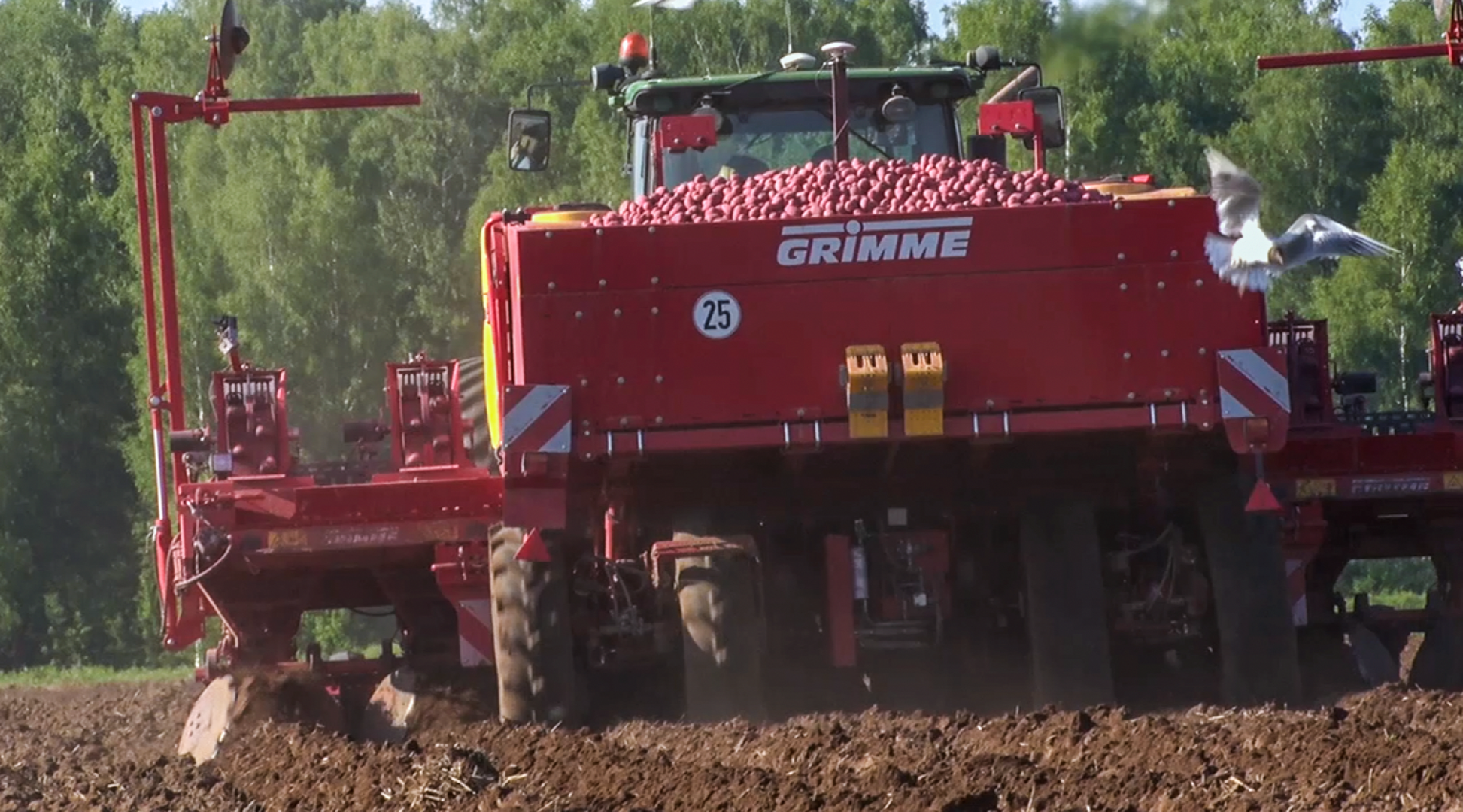 Клин, общество, экономика, сельское хозяйство, картофель,