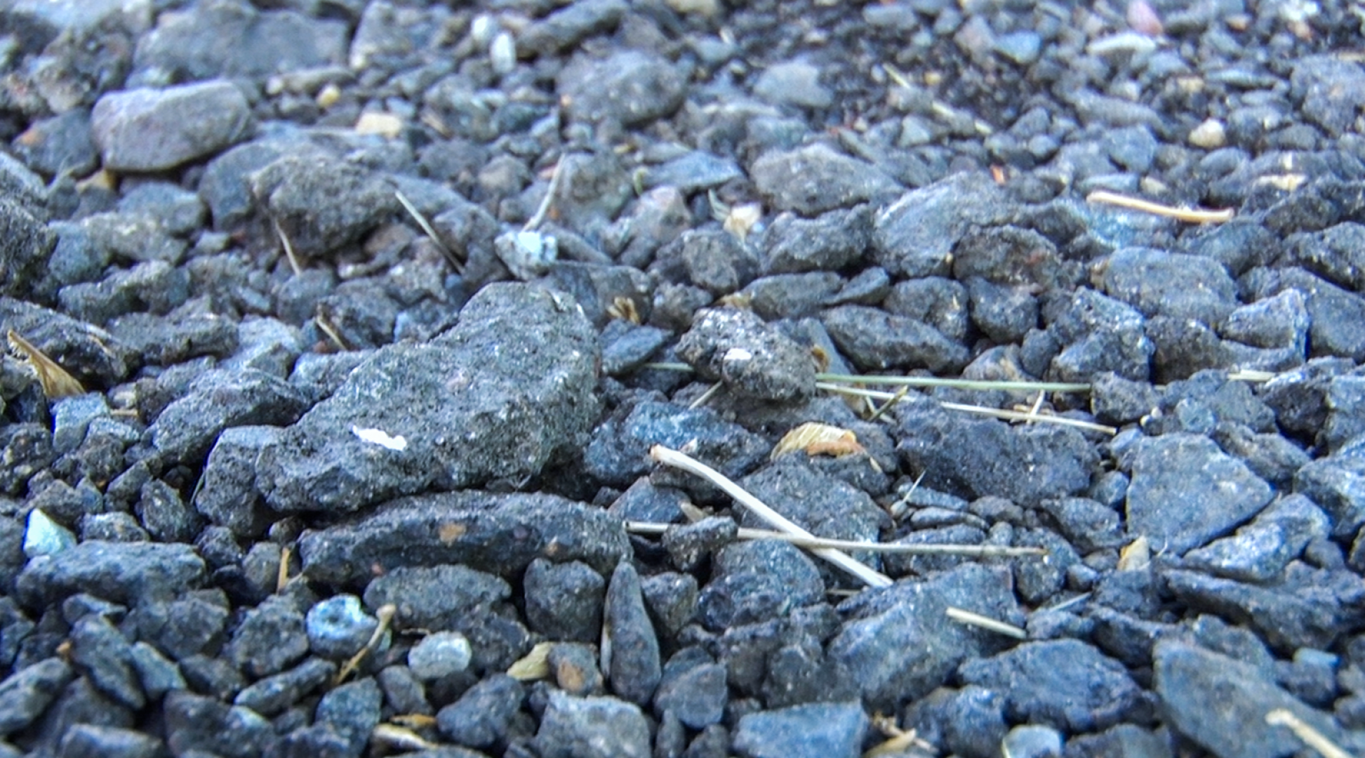 Клин, общество, перемены, выездная администрация, благоустройство, ЖКХ, дороги,