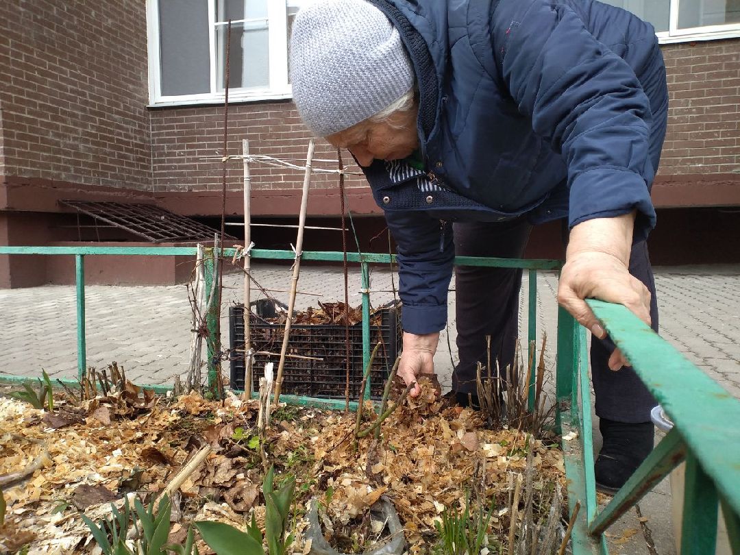 благоустройство, придомовая территория, Лосино-Петровский, перемены