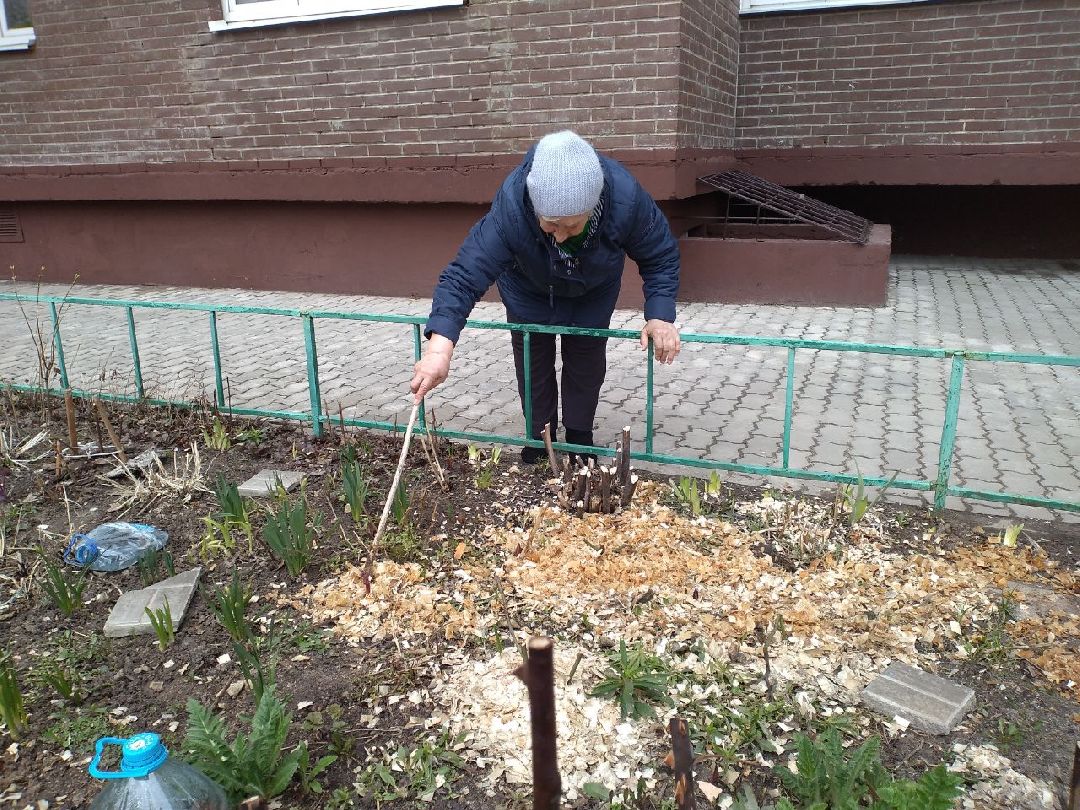 благоустройство, придомовая территория, Лосино-Петровский, перемены