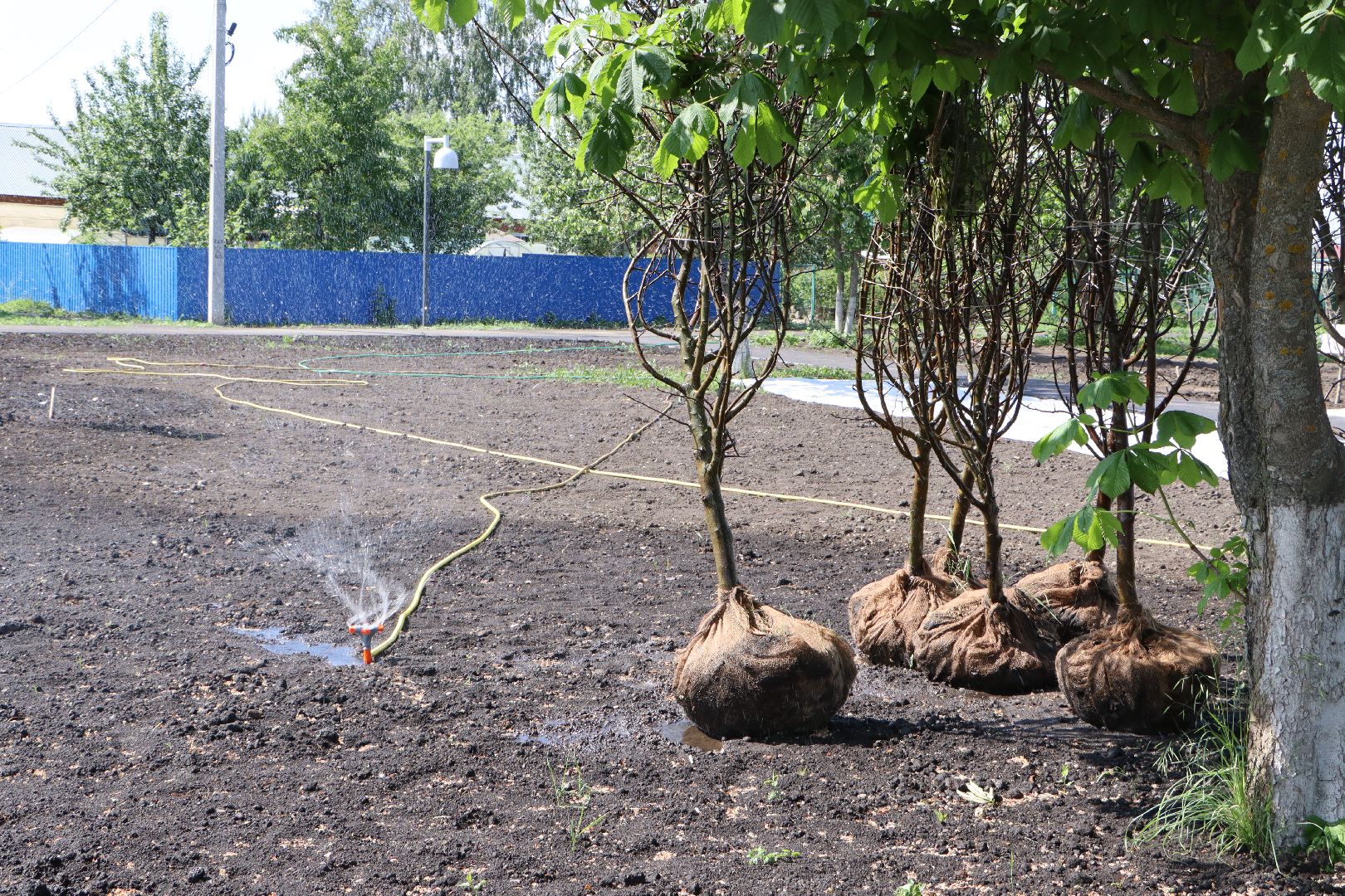 национальный проект жилье и городская среда, Серебряные Пруды, поселок Успенский, Шереметьевы, винокуренный завод Шереметьевых, благоустройство, Яблоневый сад,