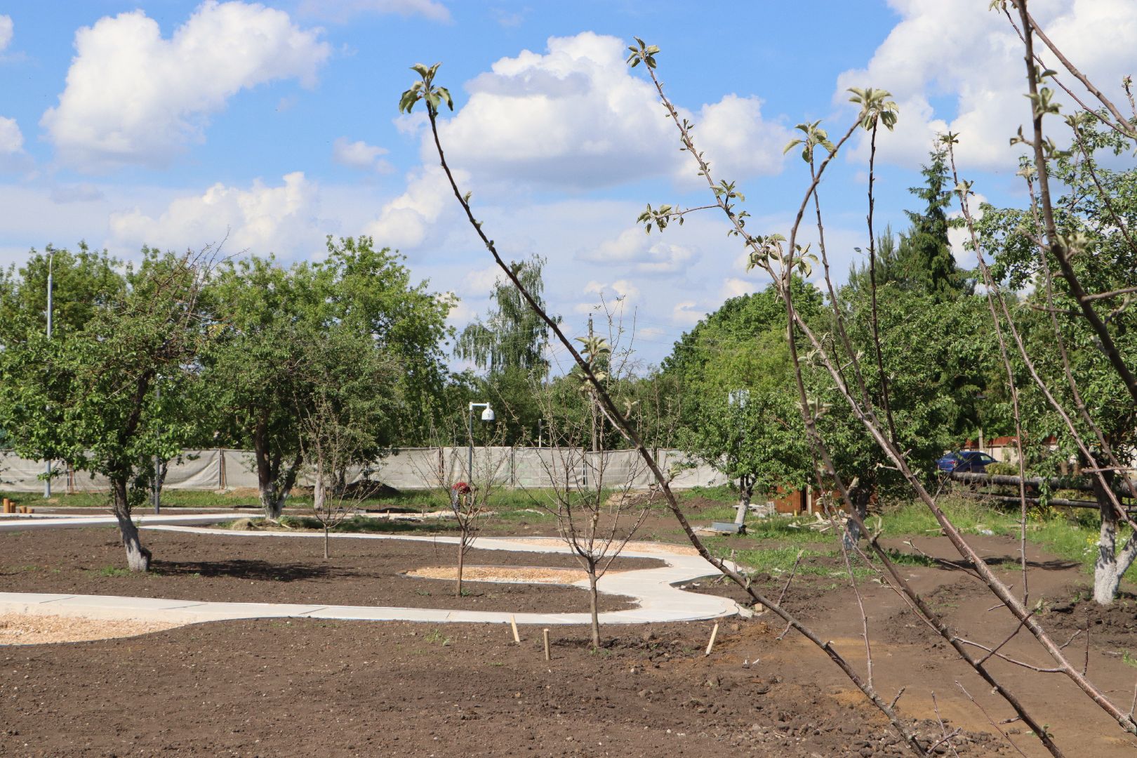 национальный проект жилье и городская среда, Серебряные Пруды, поселок Успенский, Шереметьевы, винокуренный завод Шереметьевых, благоустройство, Яблоневый сад,