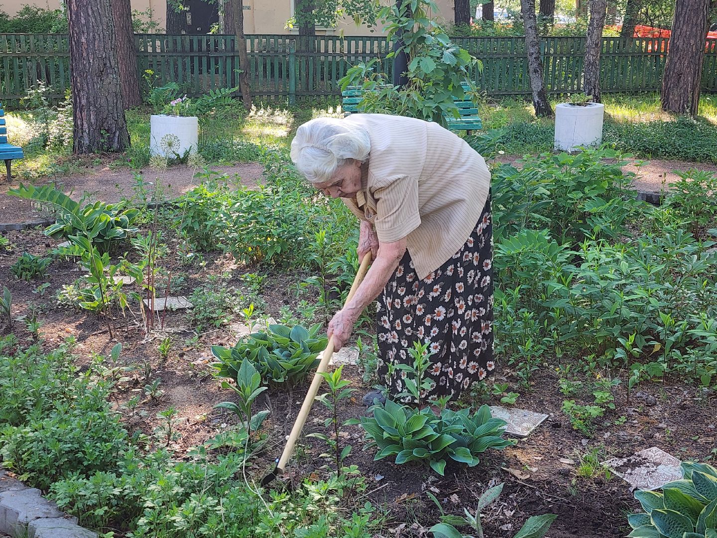Дубна, Ветераны, Помощь, Волонтеры Подмосковья,
