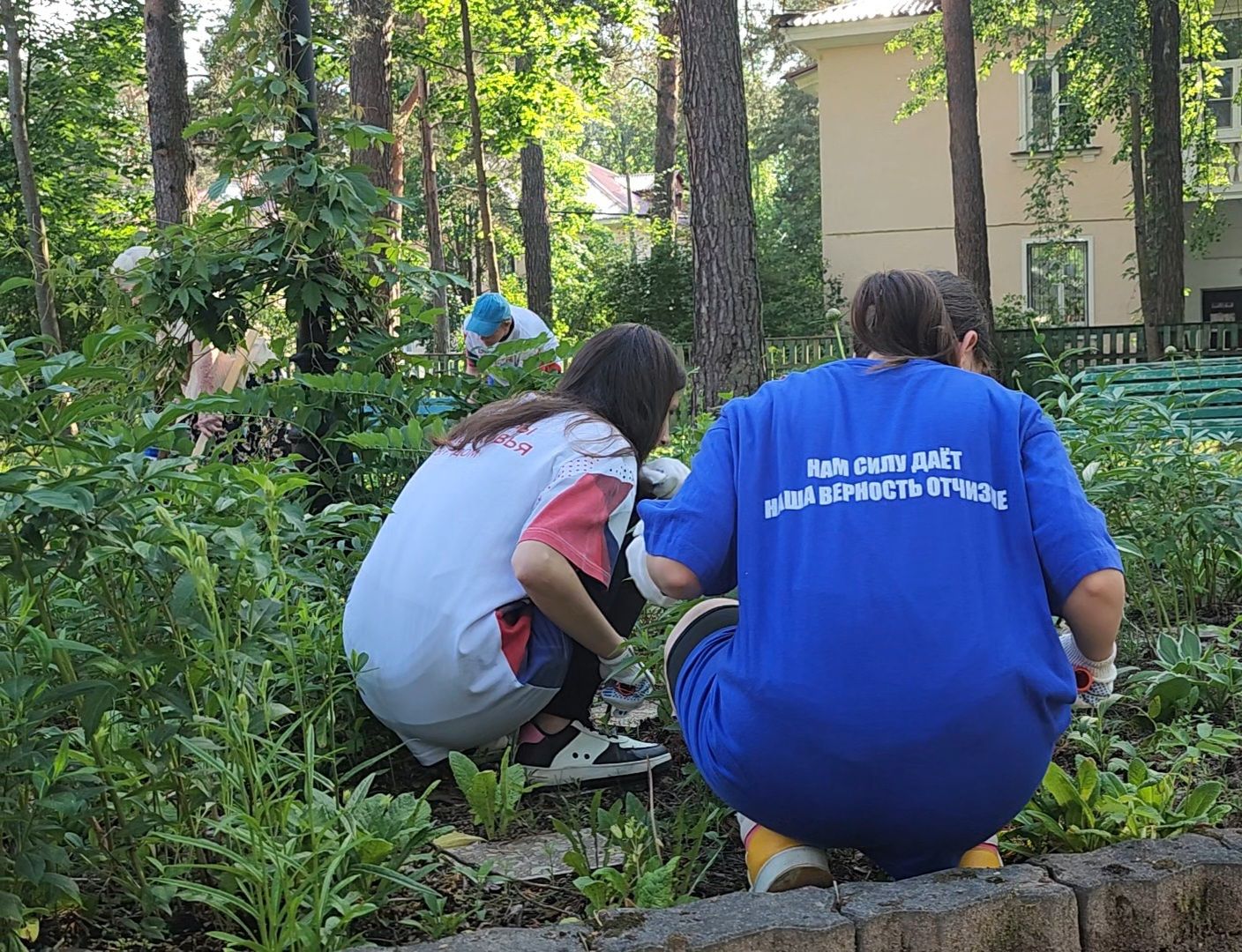 Дубна, Ветераны, Помощь, Волонтеры Подмосковья,