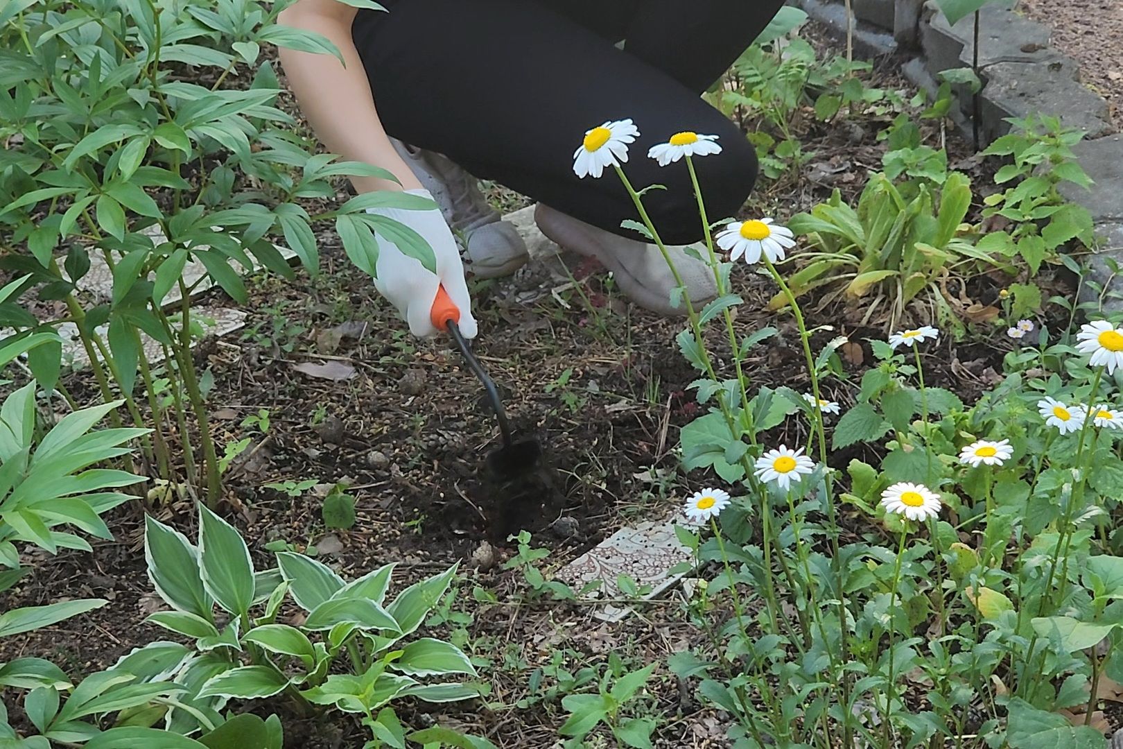 Дубна, Ветераны, Помощь, Волонтеры Подмосковья,