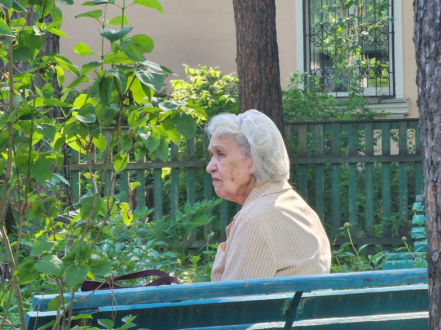 Дубна, Ветераны, Помощь, Волонтеры Подмосковья,