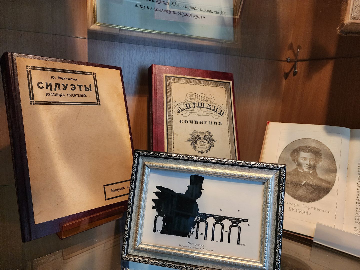 красноармейск, г.о. пушкинский, 225 лет пушкину, книжная выставка,