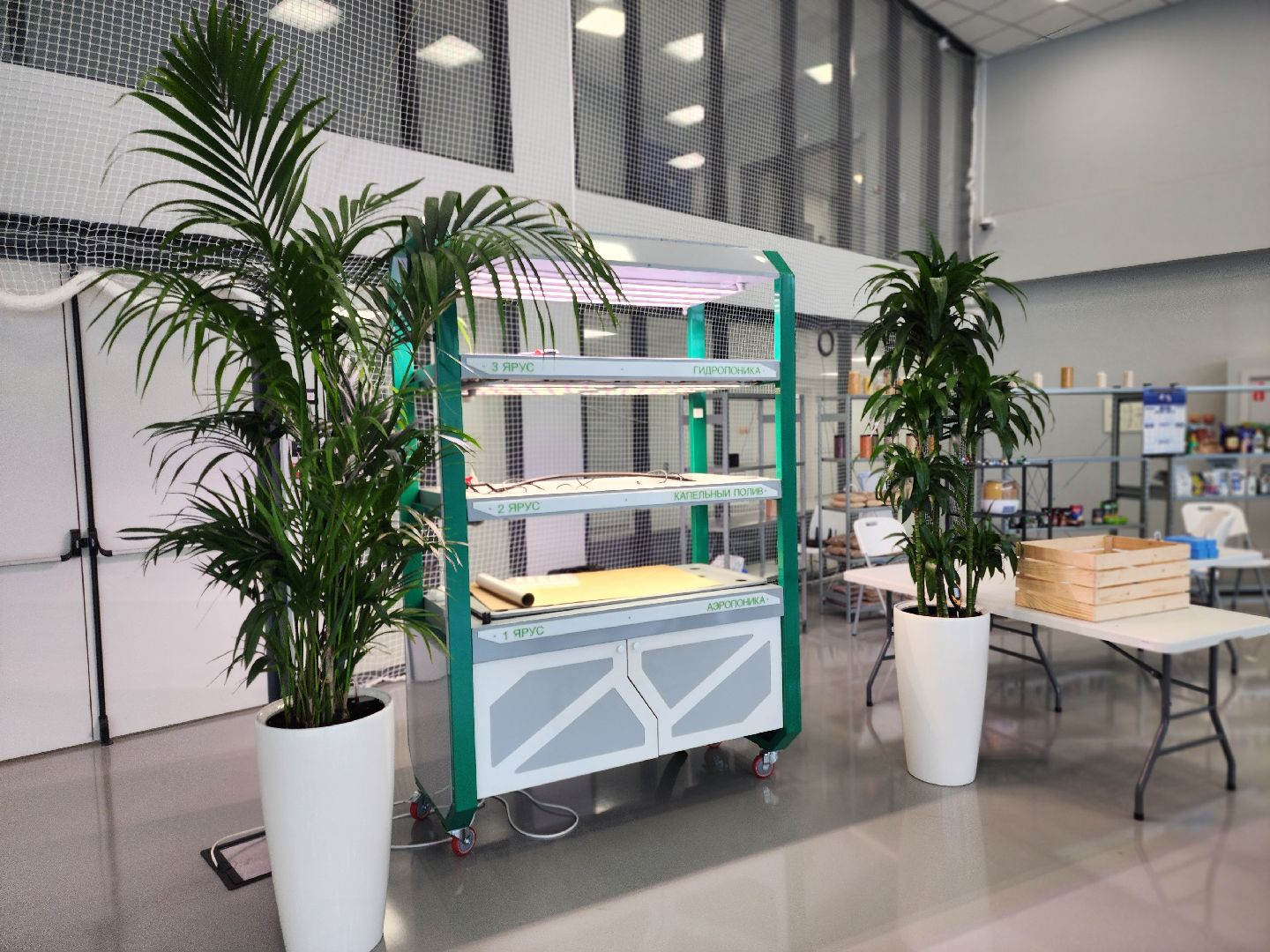 Технопарк, физтех-лицей, долгопрудный, ботаническое искусство, сайенс арт, керамика, живопись, ботаника,