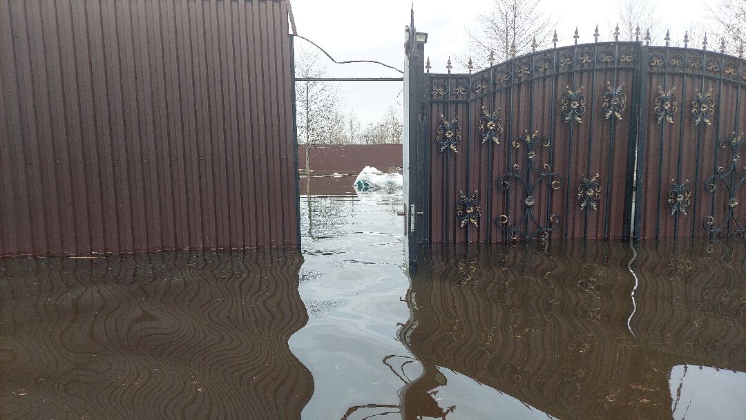 подтопление, ЧП, паводок, Воскресенск