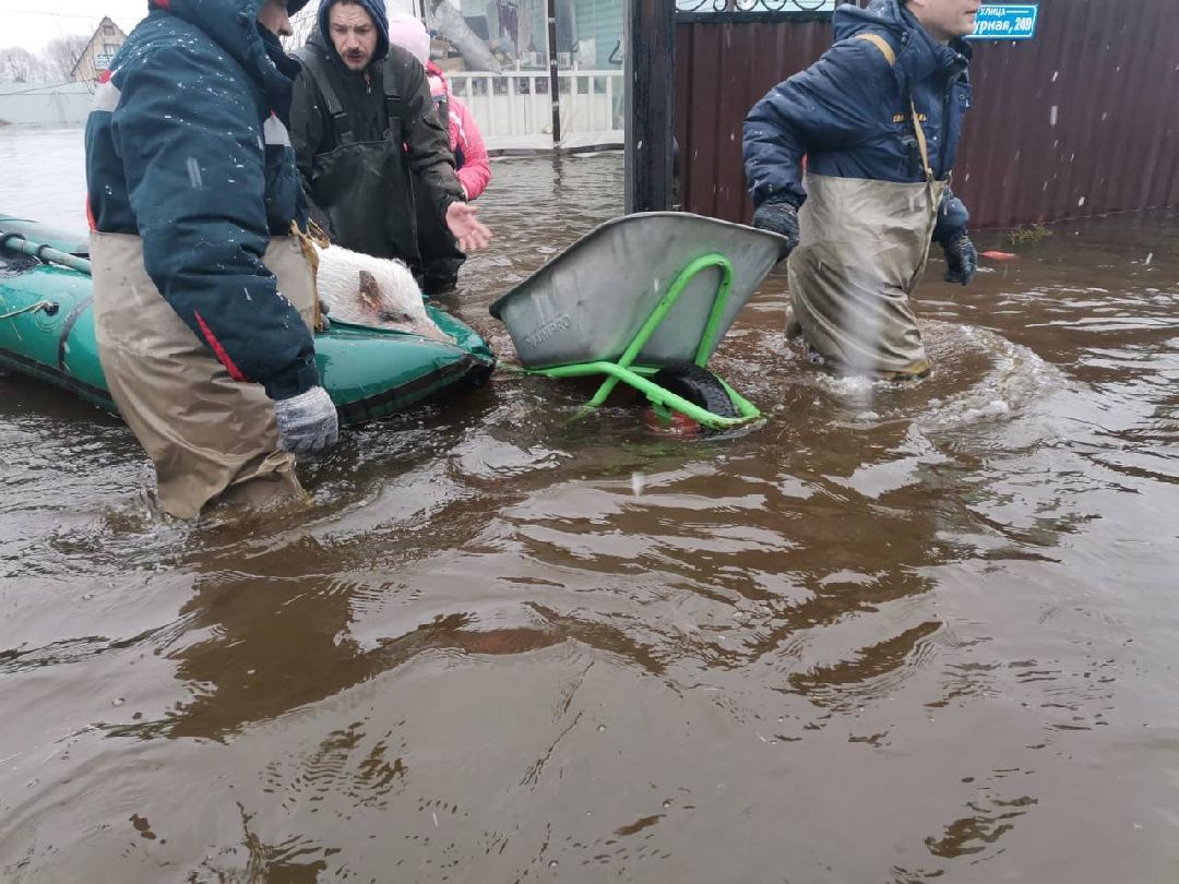 подтопление, ЧП, паводок, Воскресенск