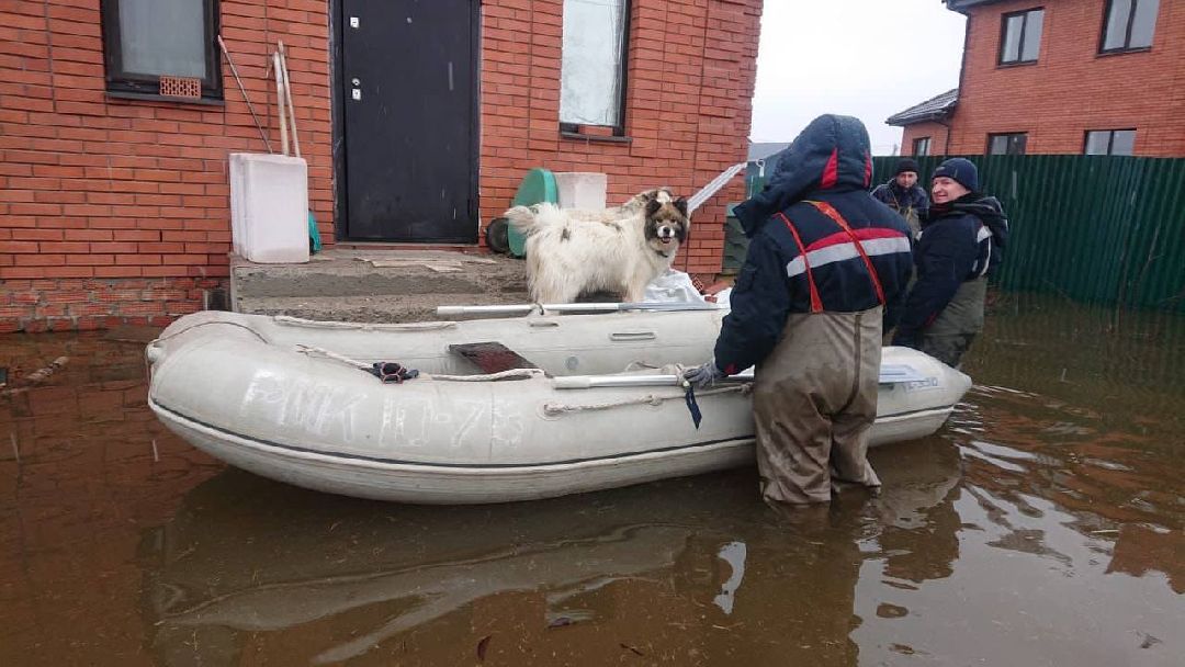 подтопление, ЧП, паводок, Воскресенск