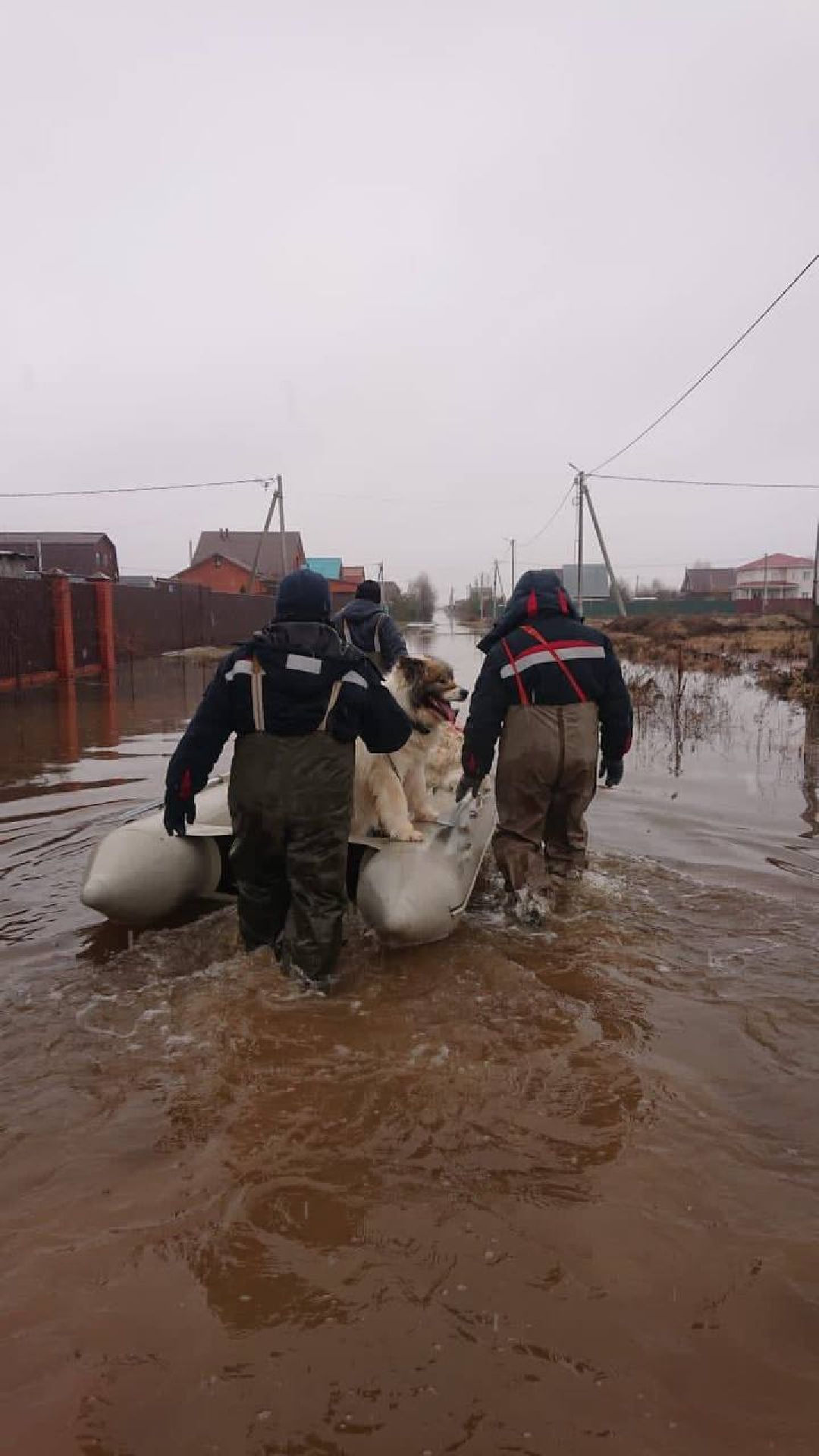 подтопление, ЧП, паводок, Воскресенск