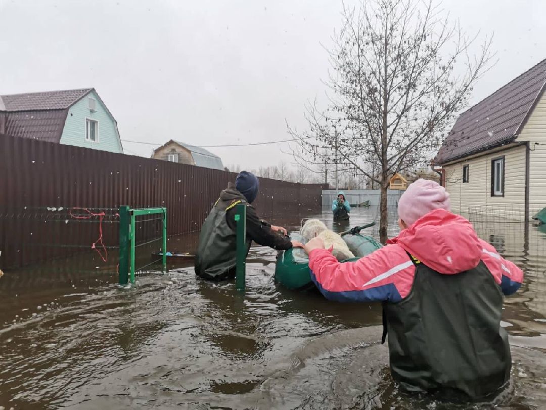 подтопление, ЧП, паводок, Воскресенск