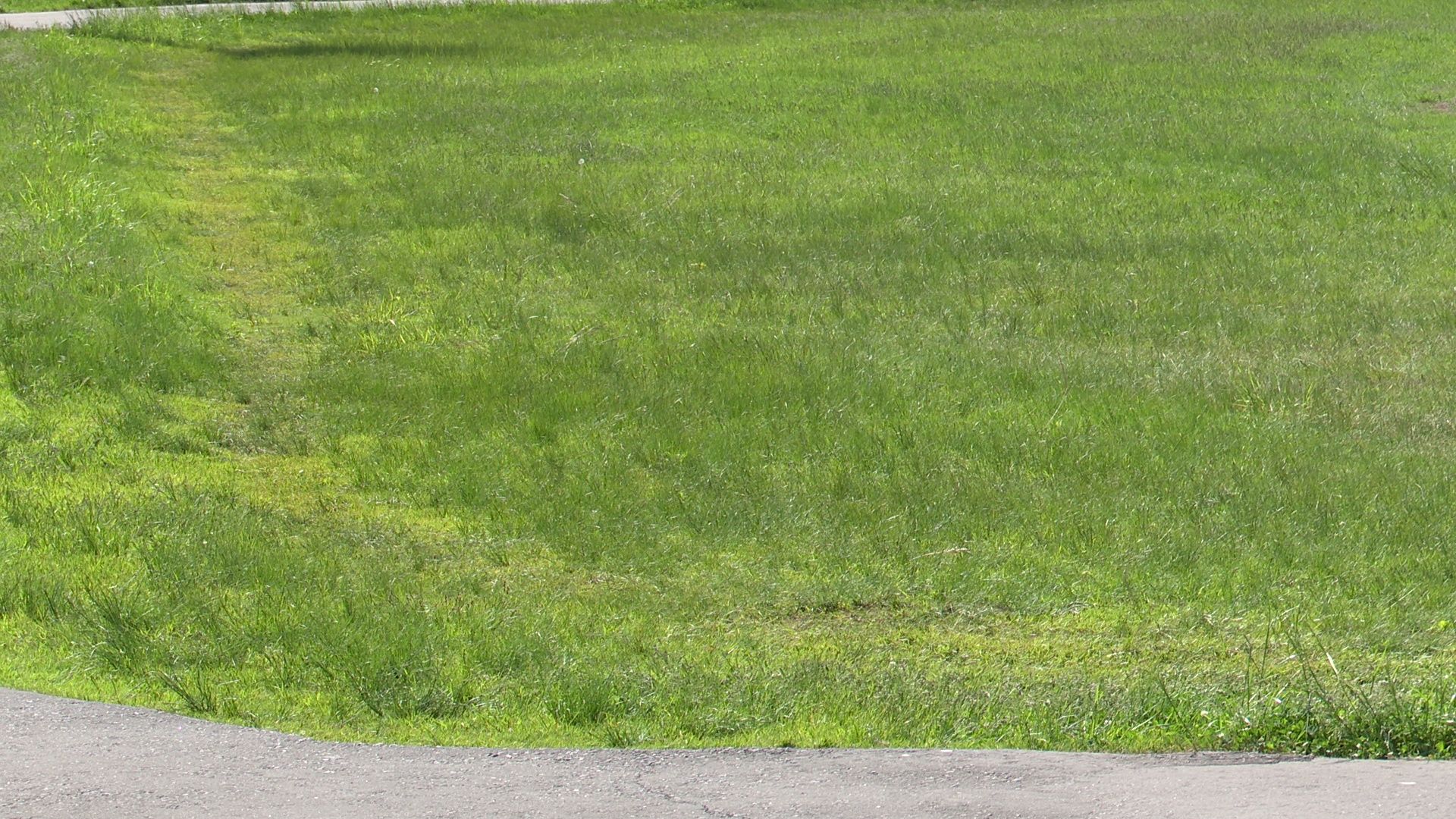 Реутов, реконструкция, спорт, стадион, футбол, поле, трибуны,