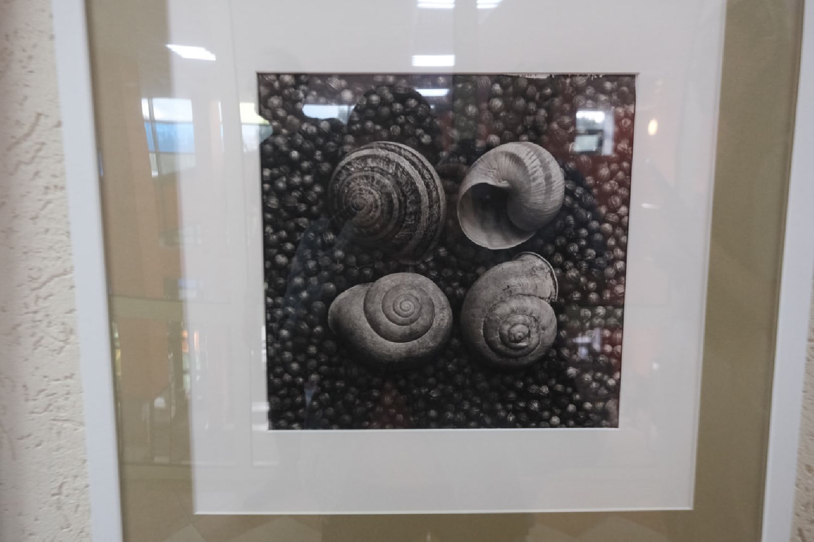 пущино, серпухов, культура, фотогорафия,