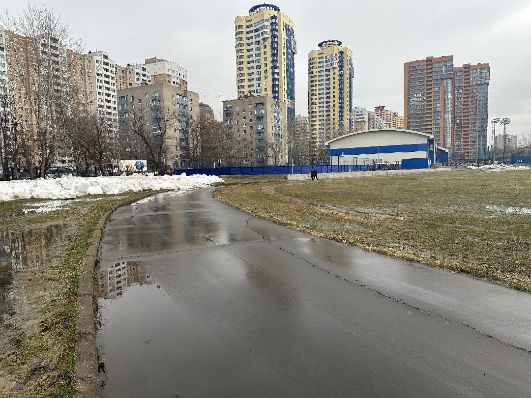 Реутов, спорт, строительство, стадион, футбол, Игорь Акинфеев, Игорь Чанов, Приалит