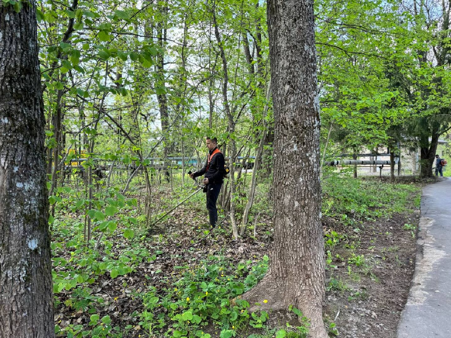 городок, газон, благоустройство,