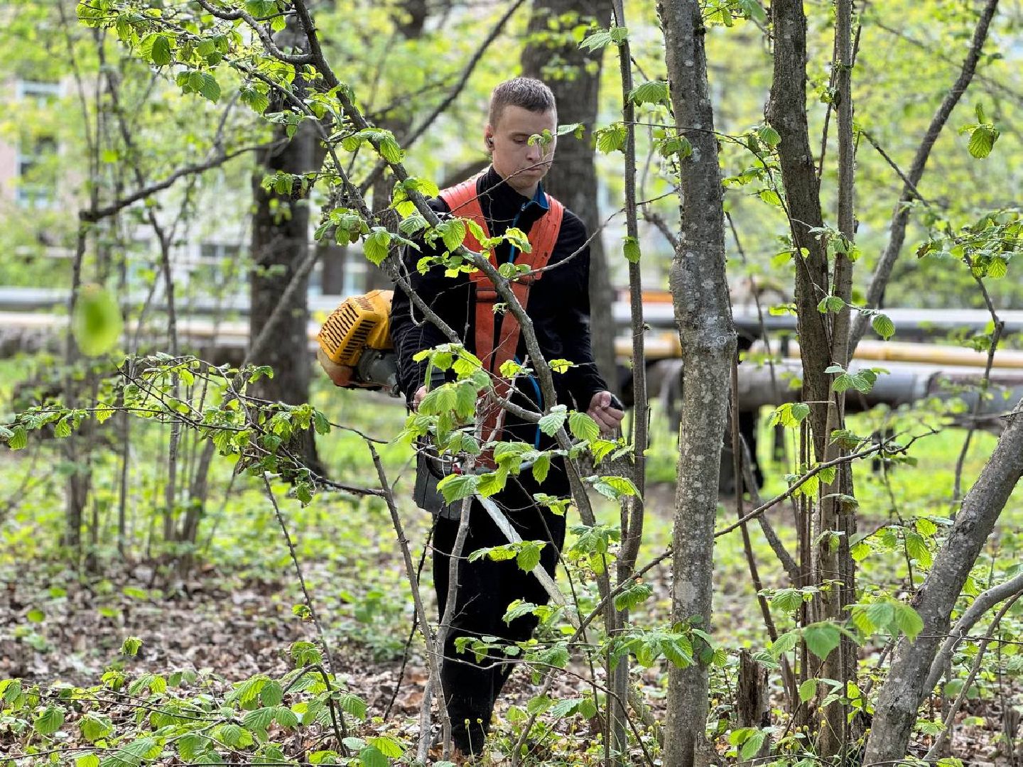 городок, газон, благоустройство,
