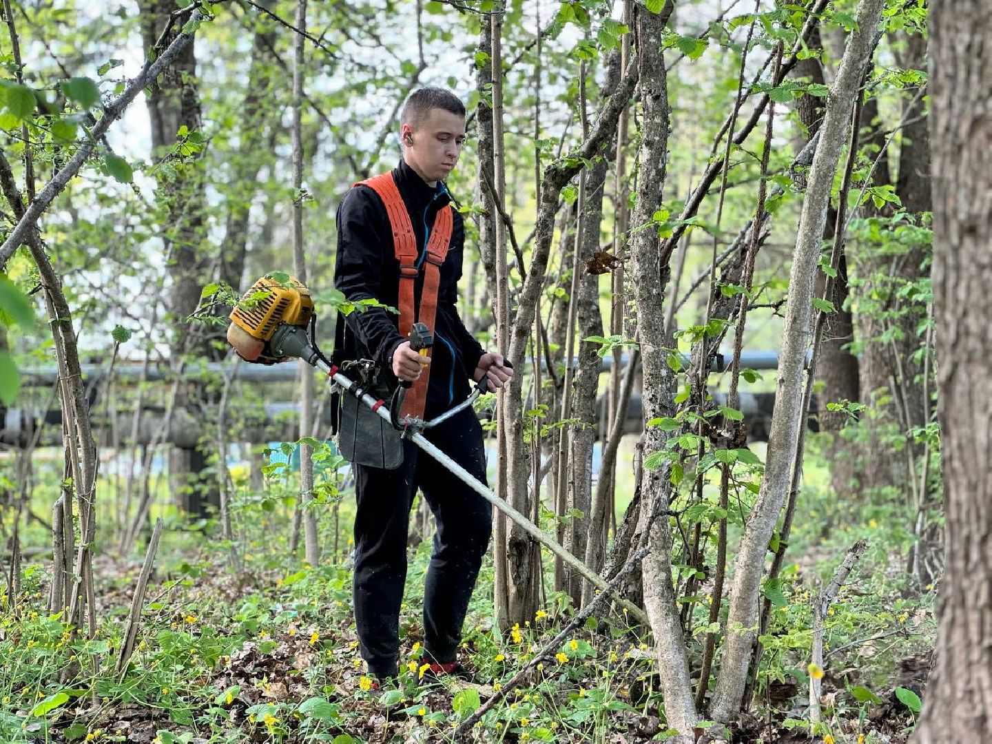 городок, газон, благоустройство,