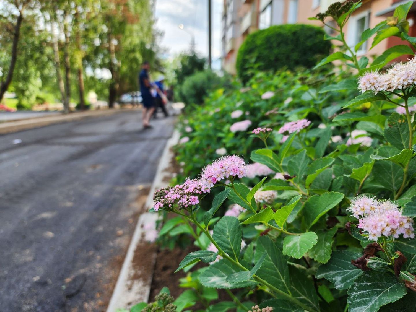 можайск, можайский городской округ, подмосковье, благоустройство, благоустройство дворов, дворовая территория, комфортная городская среда, нацпроект,