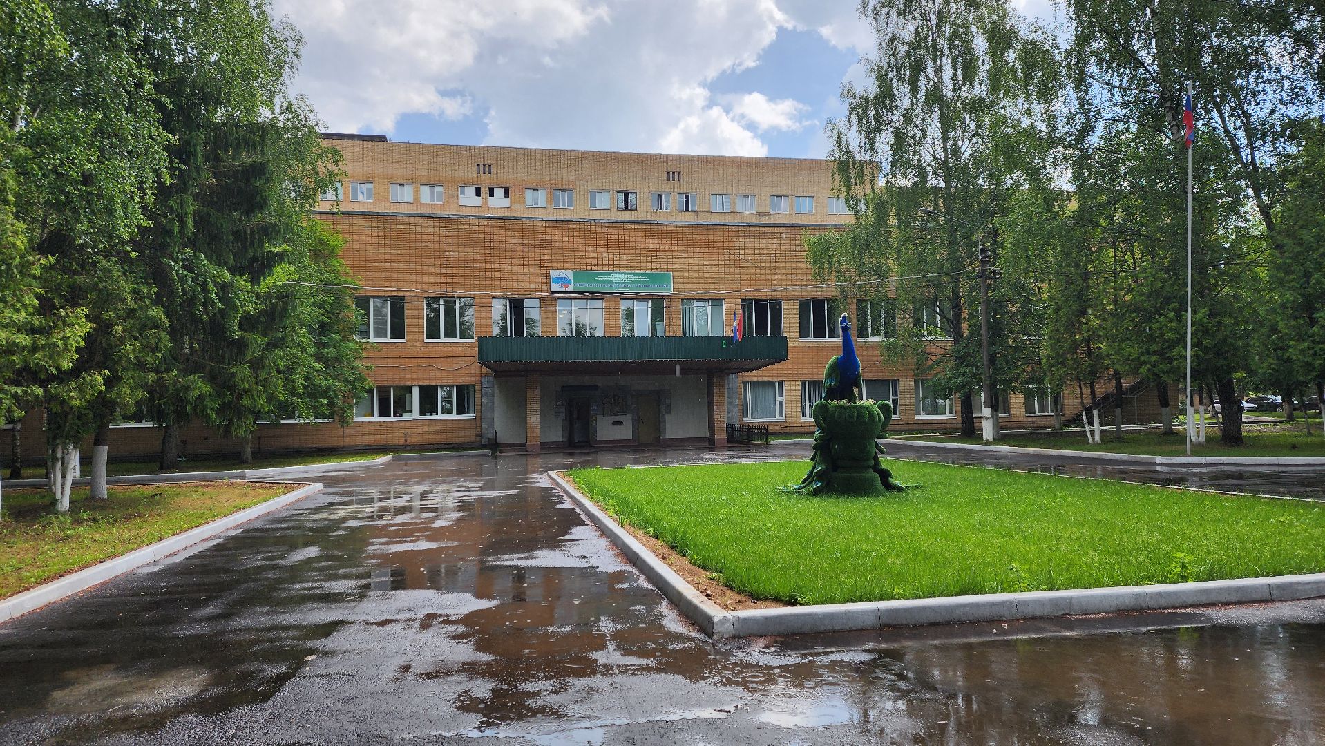 Солнечногорск, медицина, солнечногорская больница, история спасения, дети,