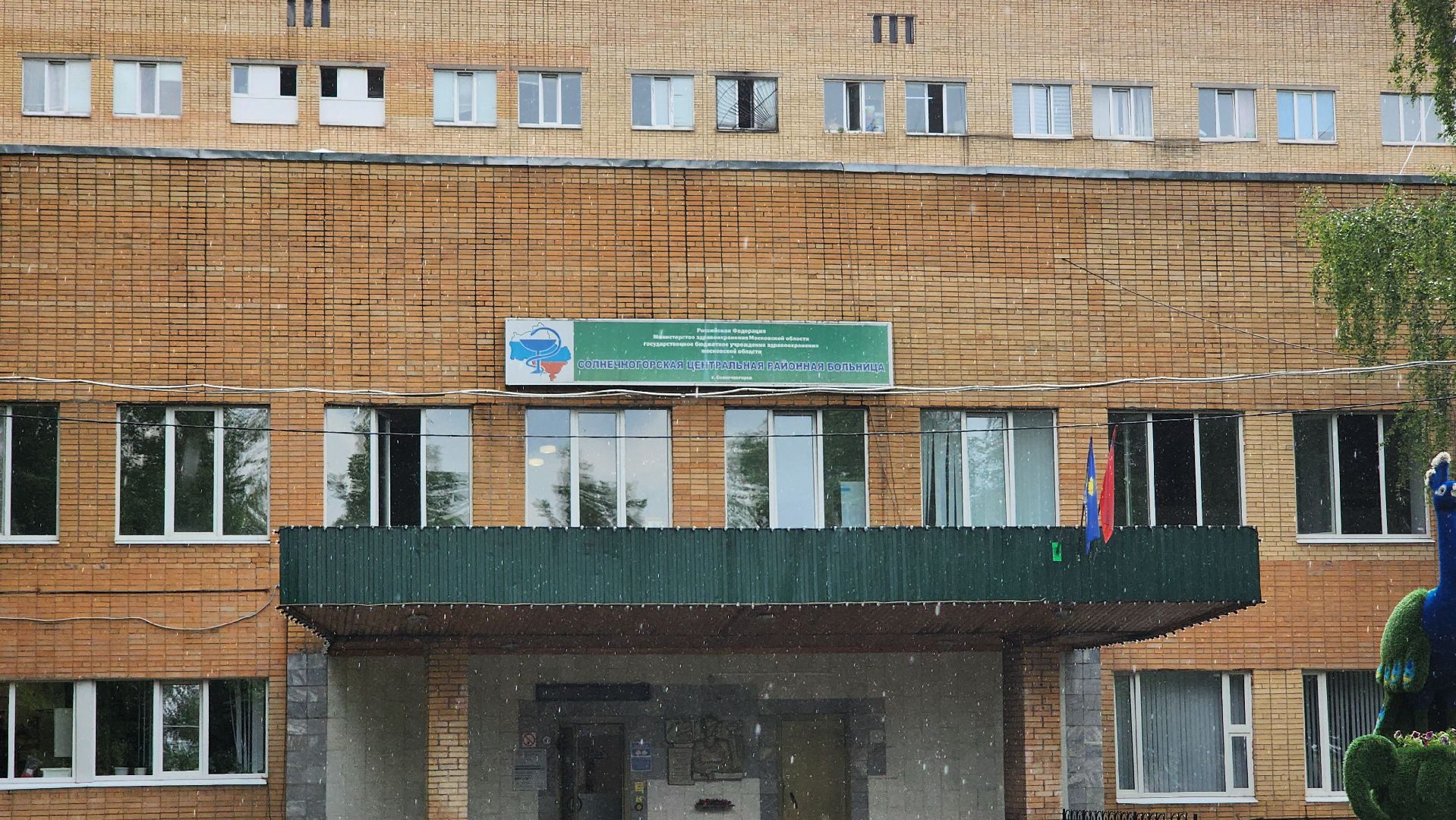 Солнечногорск, медицина, солнечногорская больница, история спасения, дети,