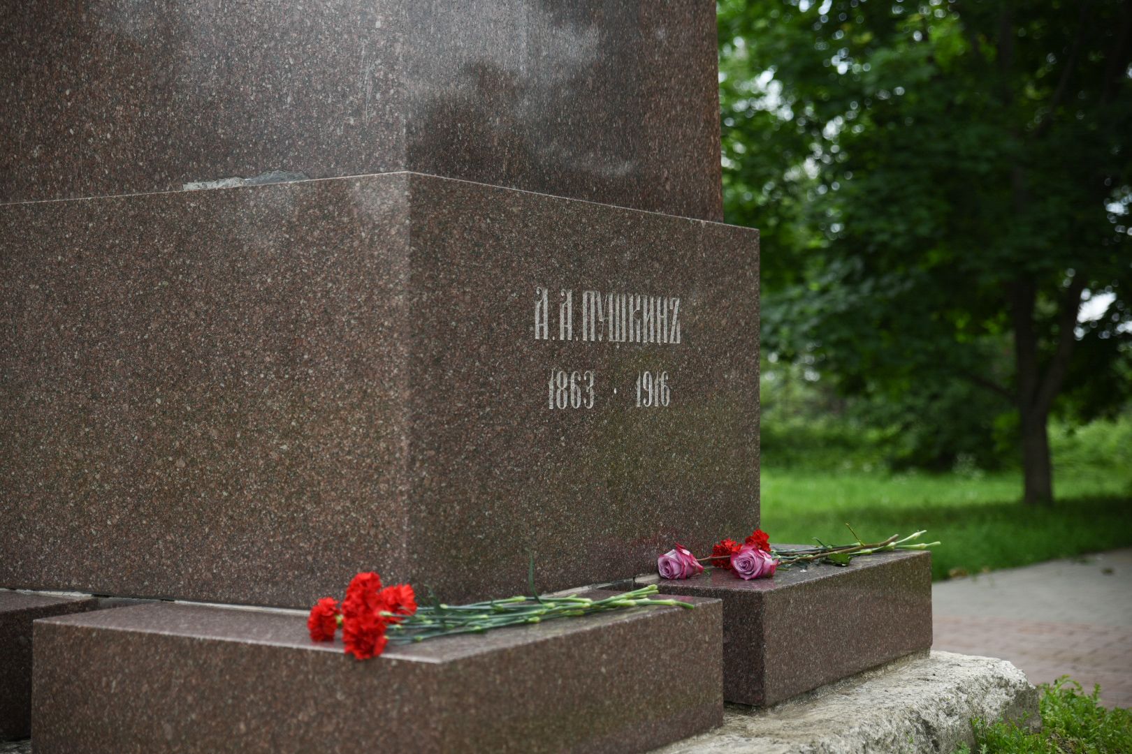 Бронницы, Мероприятие посвященное Пушкину, Памятник внуку Пушкина, Возложение цветов,