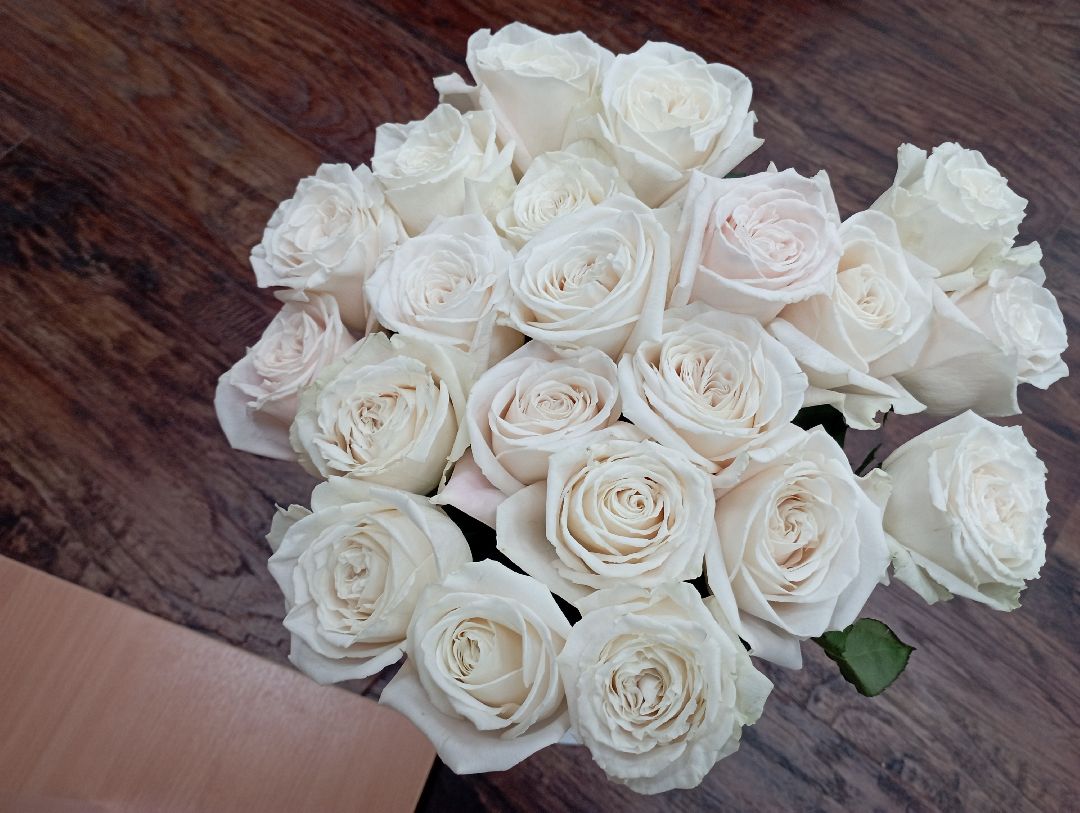 терапевт, юбилей, Дубна