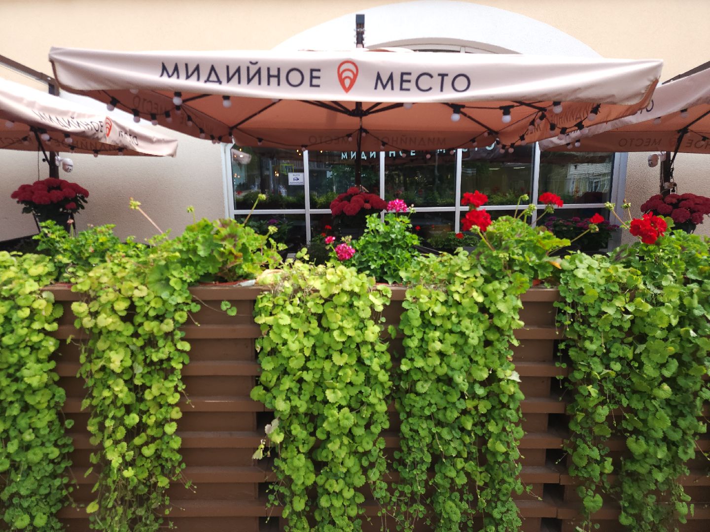 Звенигород, Туризм, Летние веранды,