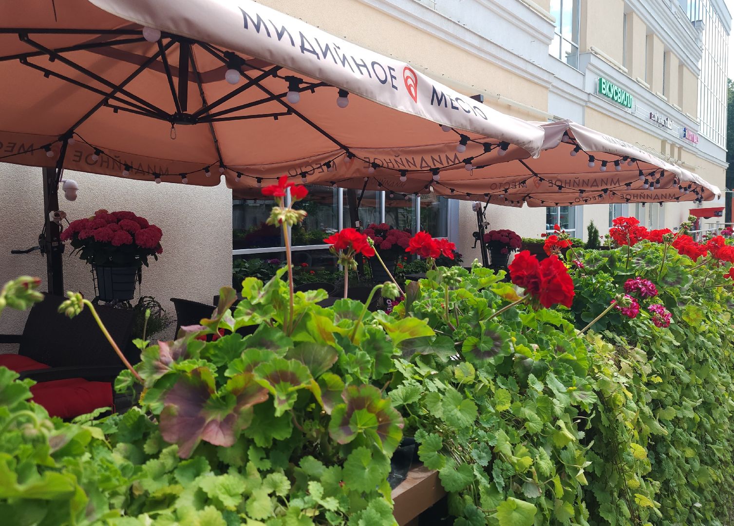 Звенигород, Туризм, Летние веранды,