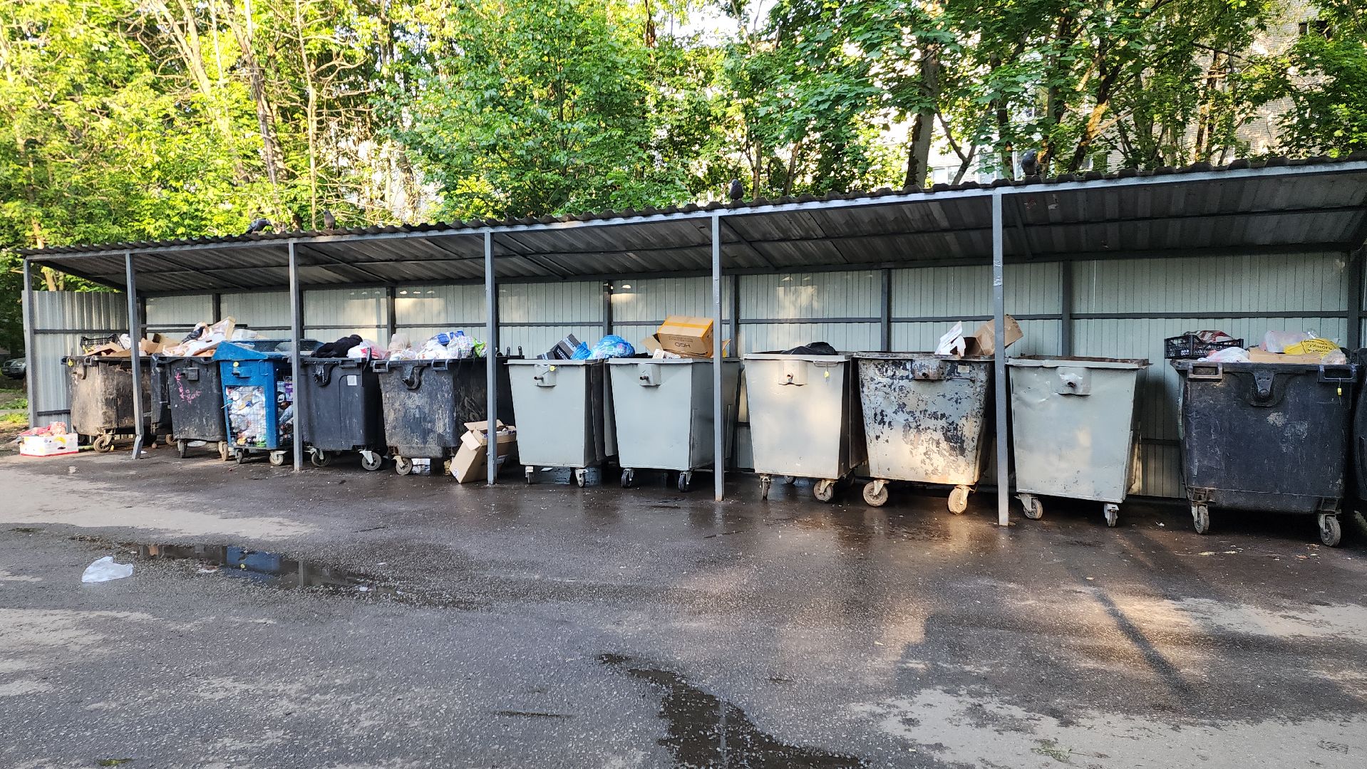 пушкино, контейнерная площадка, ремонт, жкх,