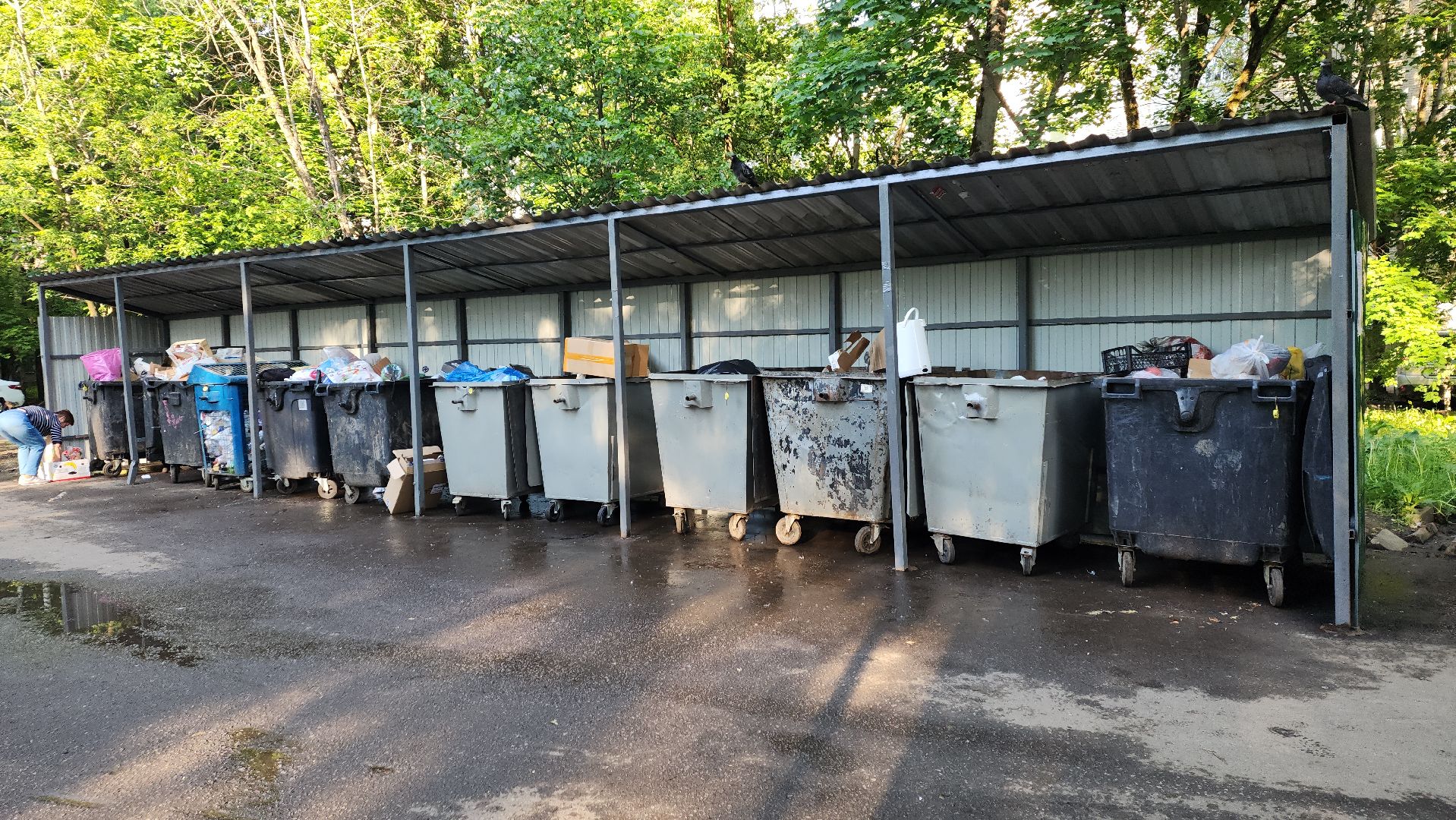 пушкино, контейнерная площадка, ремонт, жкх,