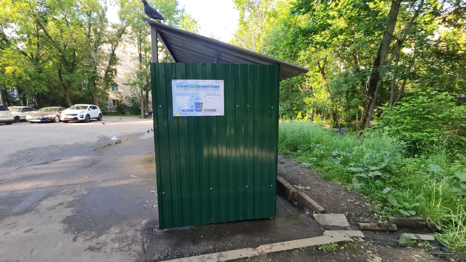 пушкино, контейнерная площадка, ремонт, жкх,