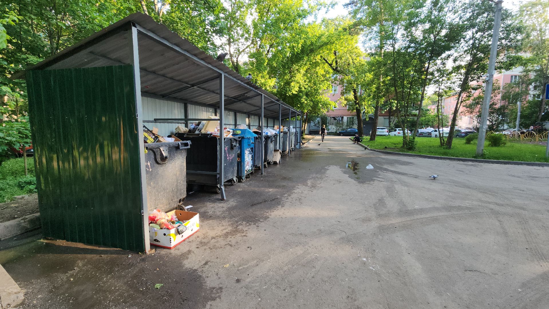 пушкино, контейнерная площадка, ремонт, жкх,