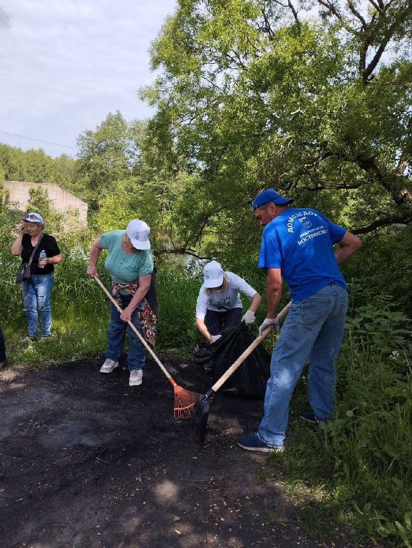 субботтник, Рожайка, Домодедово,