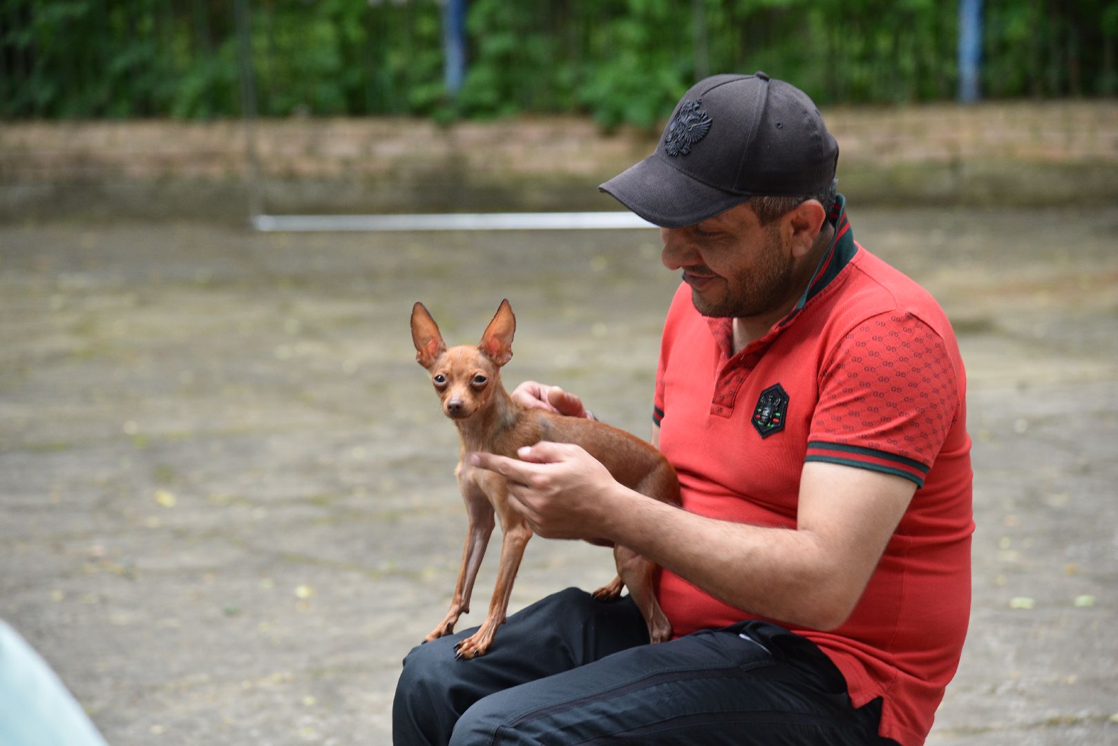 лотошино, лотошинский парк, пушкин, 225 лет пушкину, парки подмосковья, библиотека,