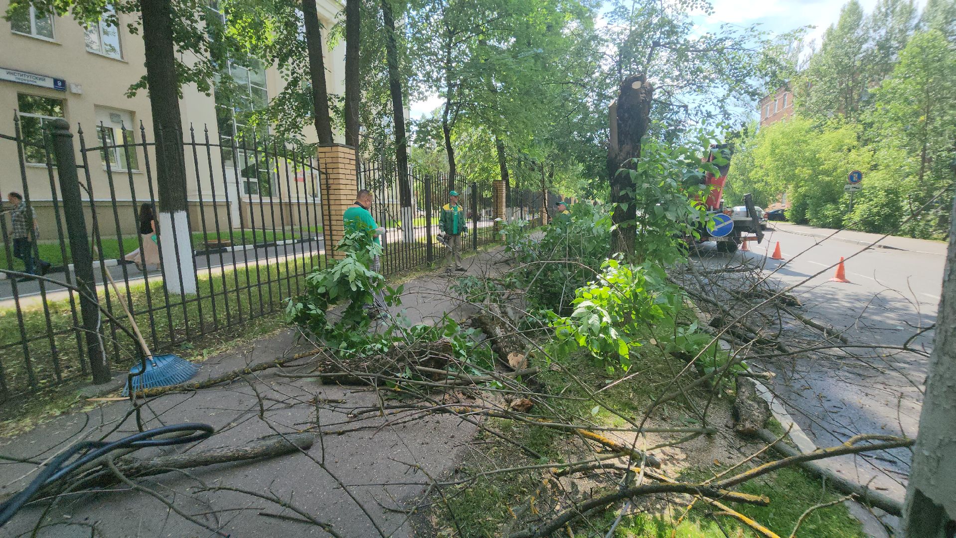 долгопрудный, мфти, Институтский переулок, опиловка деревьев, переработка дерева, смет, мбу благоустройство,