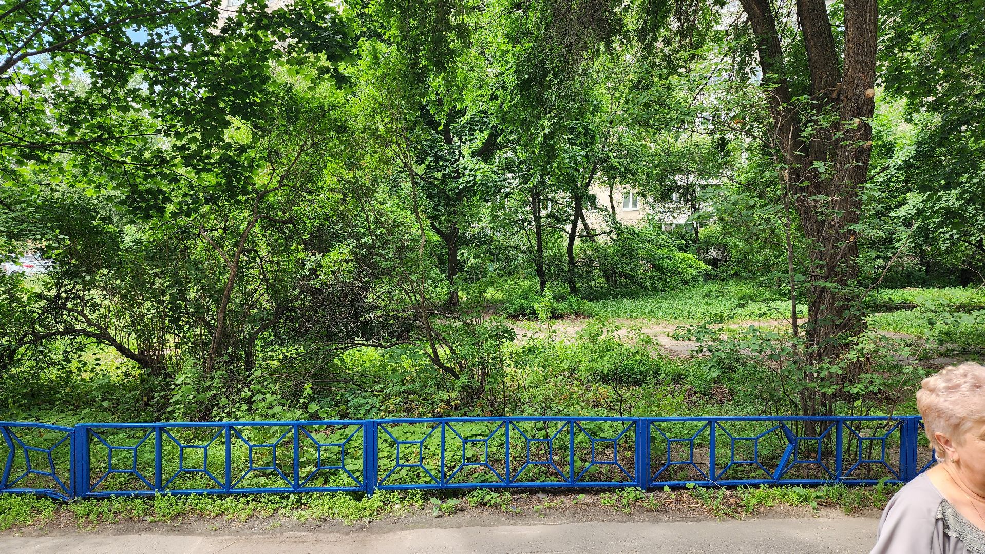 заместитель главы городского округа, алла дунаевич, ул Нижегородская, обходы, пешие обходы, дворовые территории,