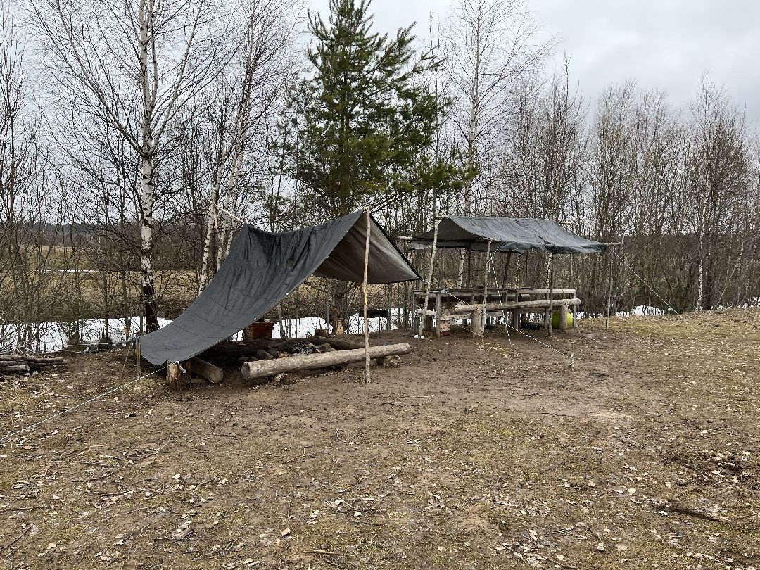 Шаховская, лошади, кони, стрельба из лука