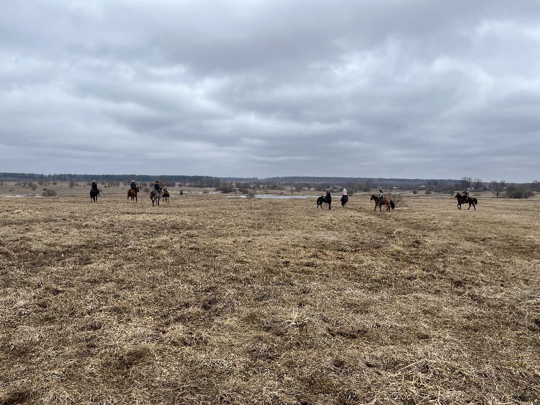 Шаховская, лошади, кони, стрельба из лука