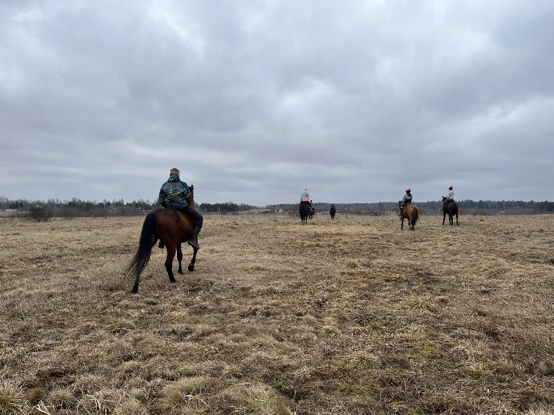 Шаховская, лошади, кони, стрельба из лука