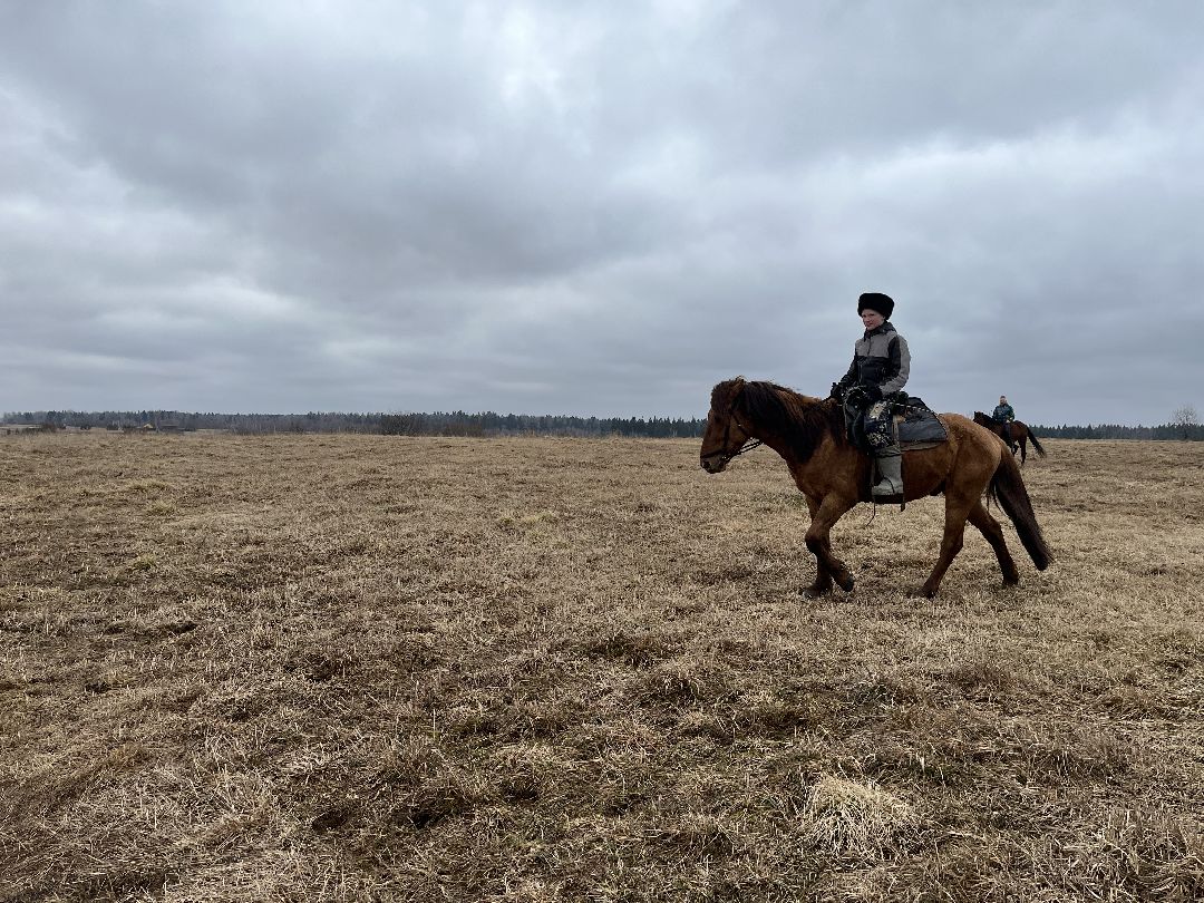 Шаховская, лошади, кони, стрельба из лука