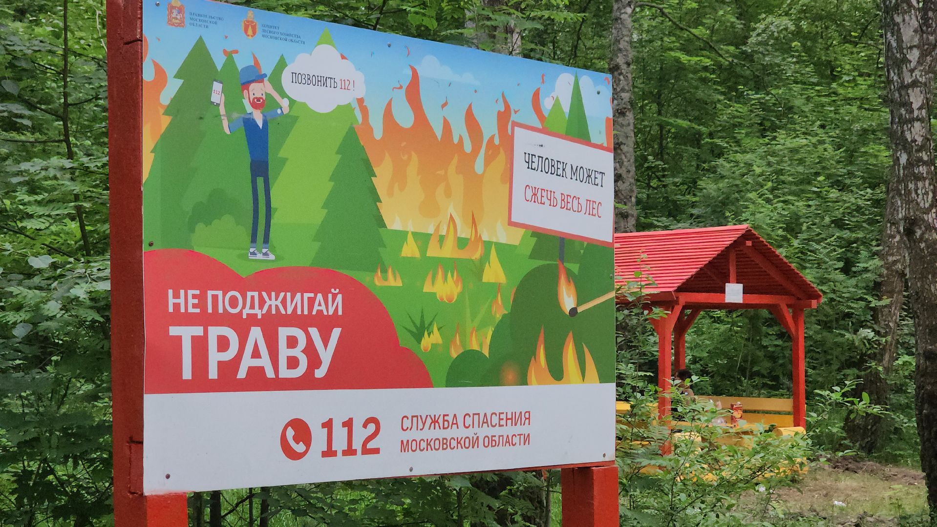 кашира, комлесхоз, центрлесхоз, зона для пикника, березовая роща, беседка, мангал,