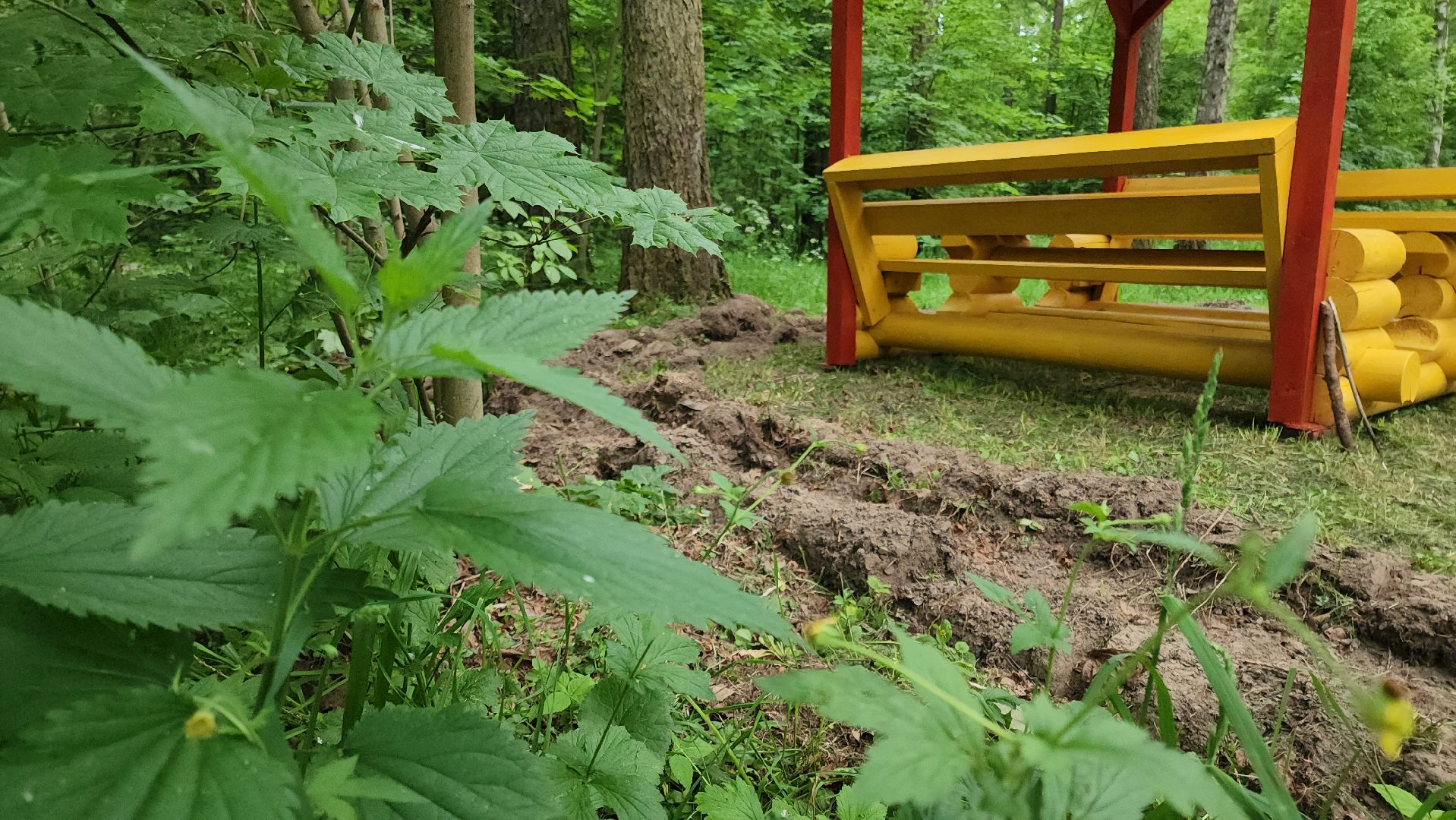 кашира, комлесхоз, центрлесхоз, зона для пикника, березовая роща, беседка, мангал,