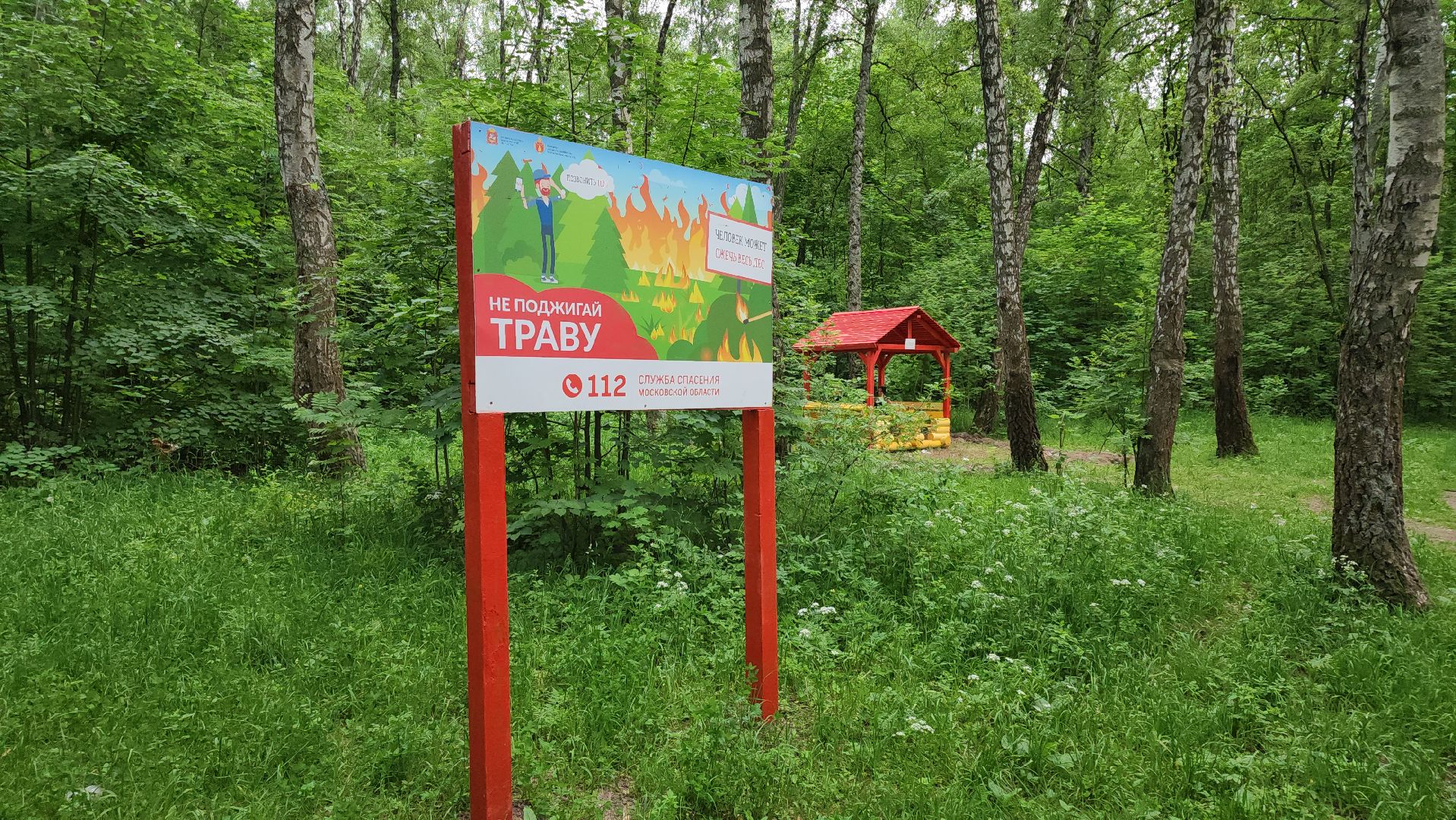 кашира, комлесхоз, центрлесхоз, зона для пикника, березовая роща, беседка, мангал,