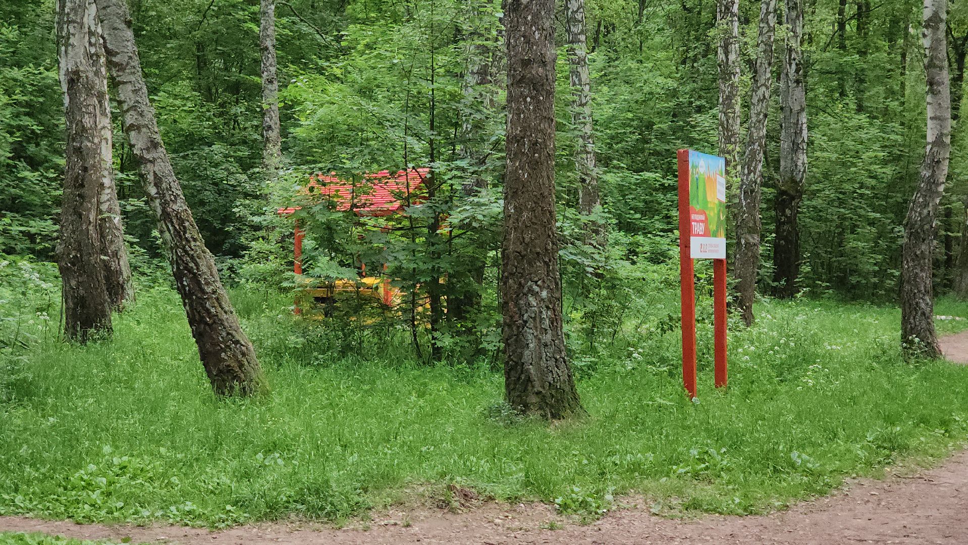 кашира, комлесхоз, центрлесхоз, зона для пикника, березовая роща, беседка, мангал,