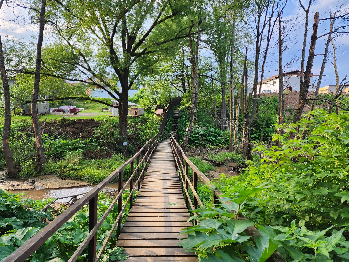 раменское, общество, выездная администрация, софьино,