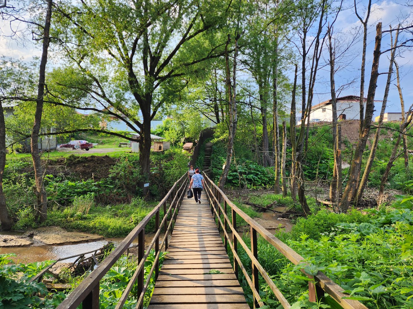 раменское, общество, выездная администрация, софьино,