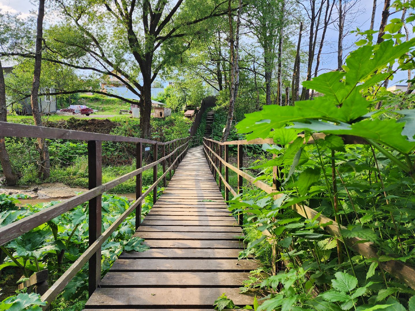 раменское, общество, выездная администрация, софьино,